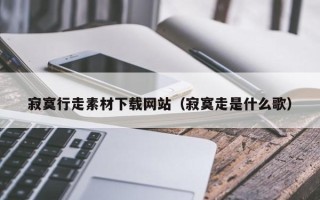 临沂寂寞行走素材下载网站（寂寞走是什么歌）